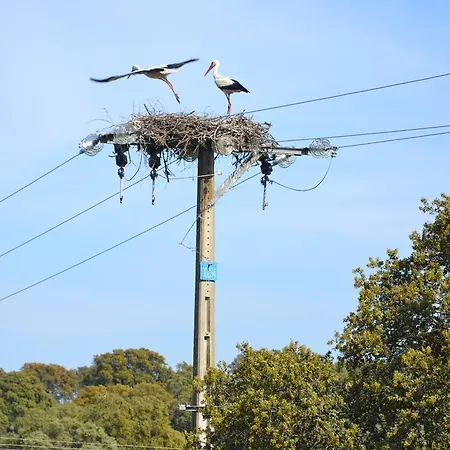 Rurales Natura Apartamento Torrejón el Rubio