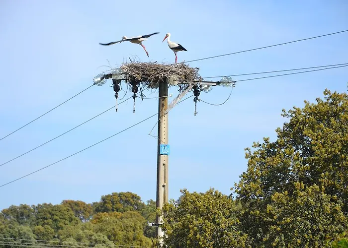 Rurales Natura Apartment Torrejon el Rubio